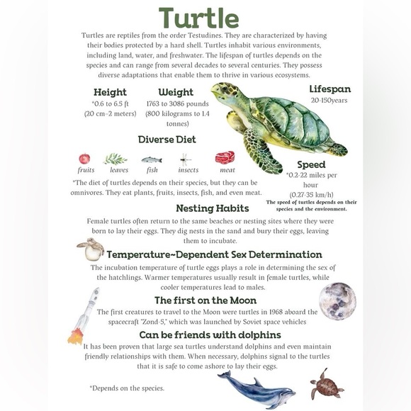 $4 LUMINOUS TURTLE BEACH NECKLACE: NEW. $4 IF BUNDLED - Picture 11 of 16